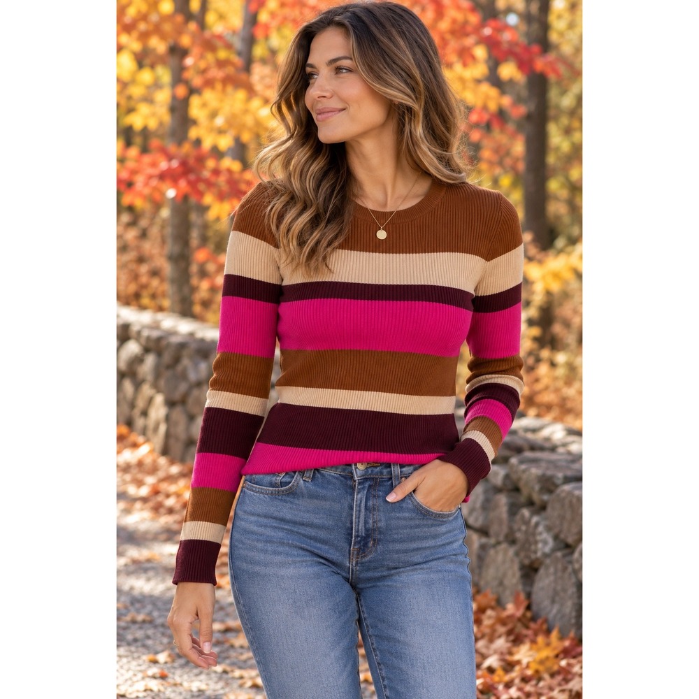 ZARA Ribbed Knit Sweater Womens Small Multicolor Striped Long Sleeve Crew Neck
